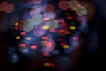 Bokeh – so funktioniert dieser Fotografie-Trend